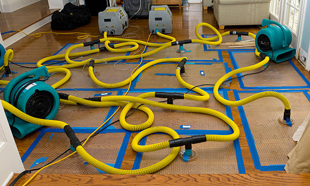 Professional Storm Water Damage Restoration technician working in Geneva, OH